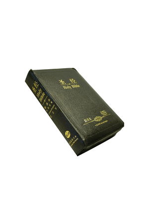 簡字中英聖經新譯本 中型藍色皮面金邊拉練 NIV and New Translation 