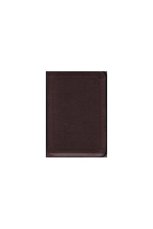簡字中文聖經--棗紅皮面金邊拉鏈 Simplified Chinese Bible Burgundy
