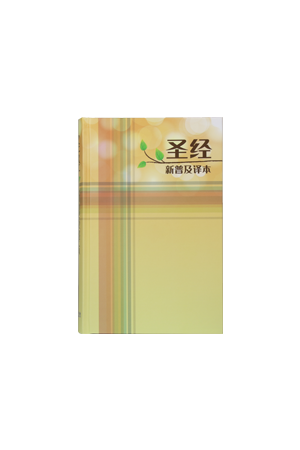 聖經新普及譯本(硬面)簡體中文CAS8926