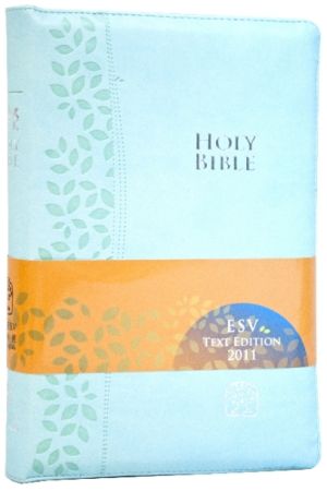 聖經新譯本 ESV 簡體標準版藍色儷皮銀邊拉鍊CNV/ESV , Stardard Size, Simp., Blue Poly