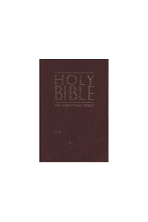 NIV The Holy Bible (Paperback)