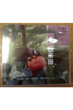 新約：&#21843;示錄 MP3 （3CD）國語主講