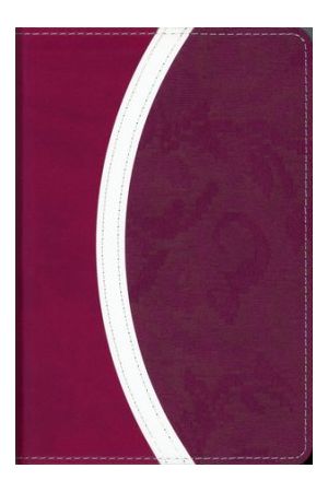 NIV Thinline Bible, Compact, Italian Duo-Tone, Razzleberry/Plum