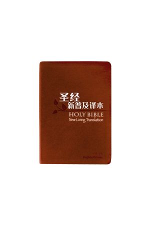 中英聖經新普及譯本(簡體皮面銀邊)CBS4855