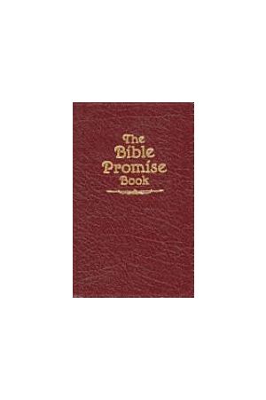 The Bible Promise Book