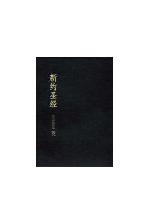 新約聖經──中文標準譯本 NT CSB