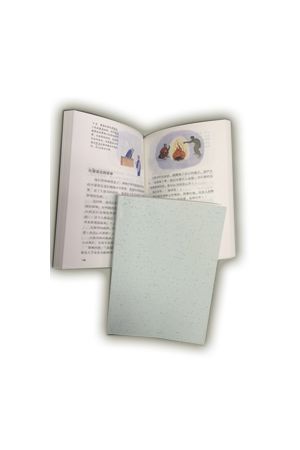 領悟聖經（簡體字）The Concise Bible（新推薦）