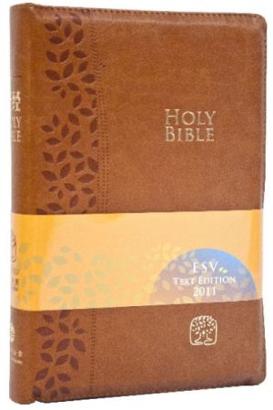 聖經新譯本 ESV 簡體標準版棕色儷皮金邊拉鍊CNV/ESV , Stardard Size, Simp., Brown Pol