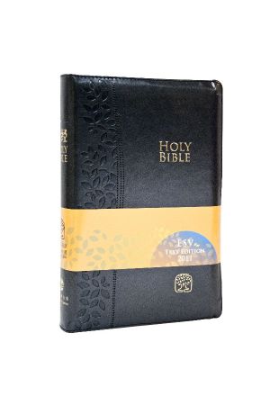 聖經新譯本ESV 簡體標準裝黑色儷皮金邊拉鍊CNV/ESV , Stardard Size, Simp., Black Poly