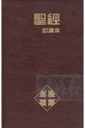 聖經助讀本YU Study Bible