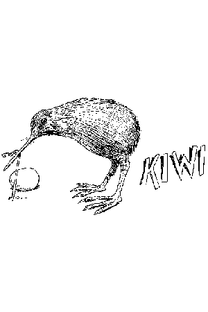 Drawing in Three Dimensions