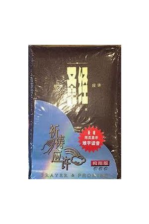 圣&#32463;．祈&#31095;&#24212;&#35768;版．&#32418;色皮面拉&#38142;．金&#36793;．&#36731;便本Union Version (Prayer & Promise Edition)