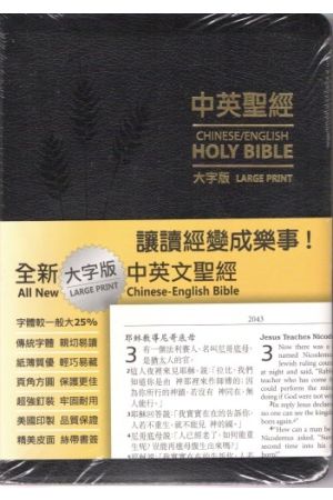 全新大字版中英文聖經10/箱 Large Print Chinese English Bible 1984 NIV 10/bo